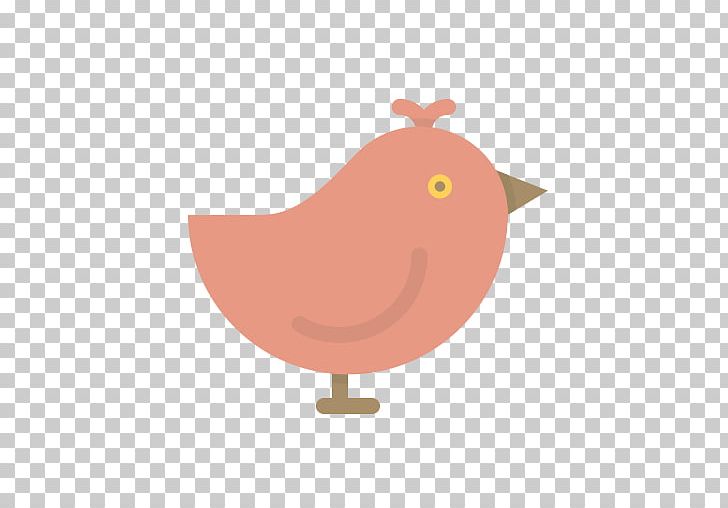Bird Sparrow Computer Icons PNG, Clipart, Animals, Beak, Bird, Chicken, Computer Icons Free PNG Download
