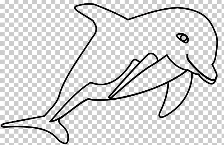 Oceanic Dolphin PNG, Clipart, Animals, Beak, Black And White, Cetacea, Coloring Book Free PNG Download