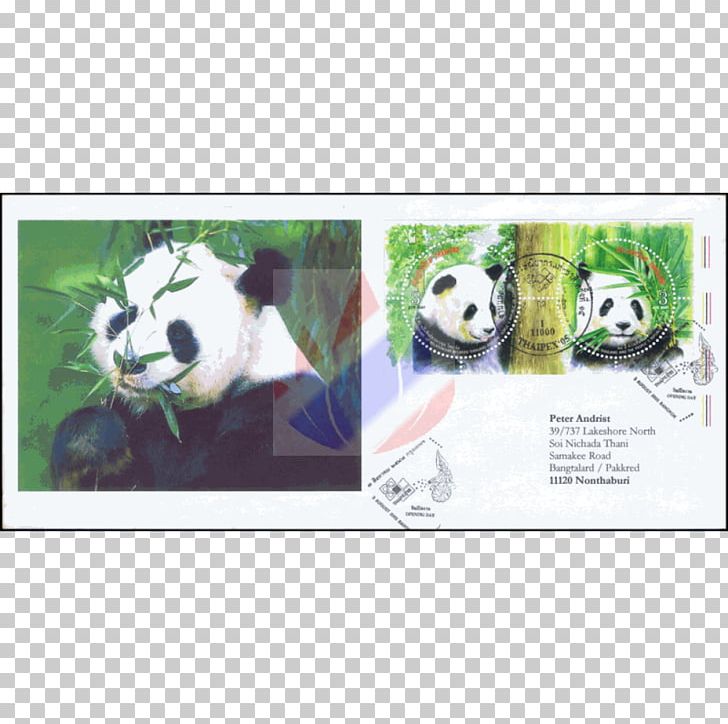 Giant Panda Advertising Bamboo Material Eating PNG, Clipart, Advertising, Bamboo, Bear, Carnivoran, Eating Free PNG Download