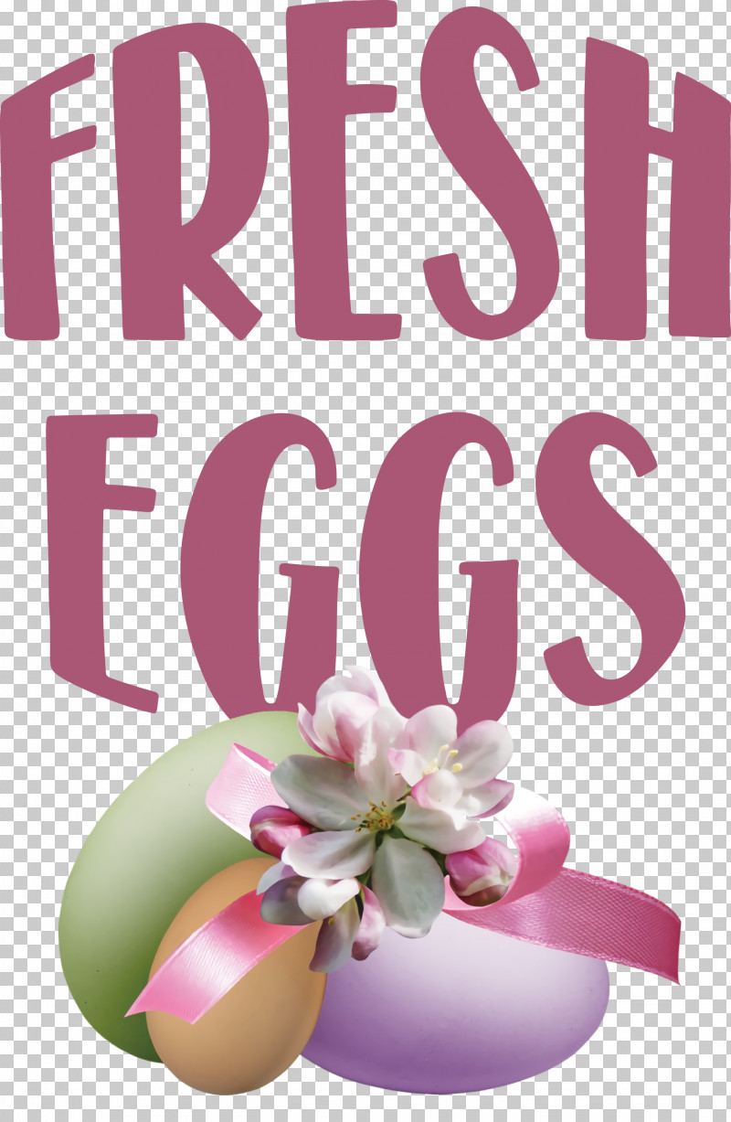 Fresh Eggs PNG, Clipart, Flower, Fresh Eggs, Meter, Petal Free PNG Download