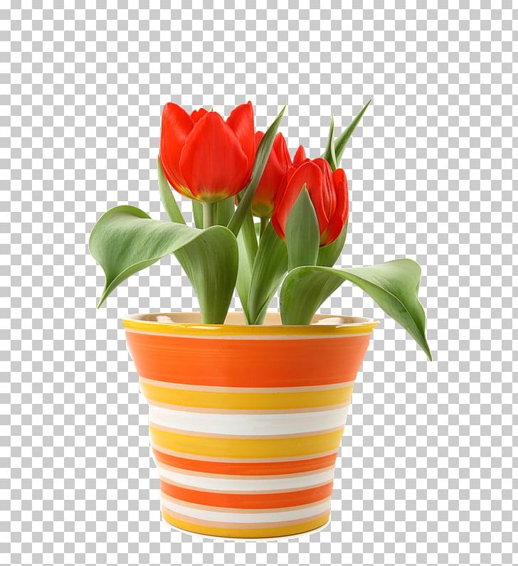 Flower Tulip Bulb Saucer Bedding PNG, Clipart, Amazoncom, Artificial Flower, Bedding, Bulb, Color Free PNG Download