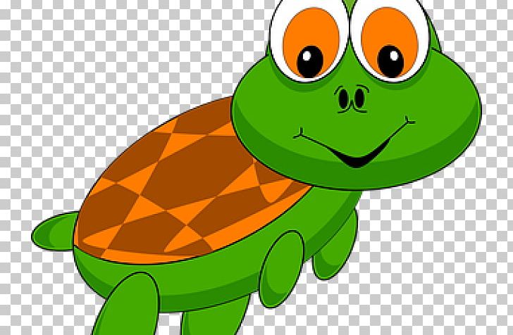 Green Sea Turtle Reptile PNG, Clipart, Amphibian, Animation, Cartoon, Fauna, Frog Free PNG Download