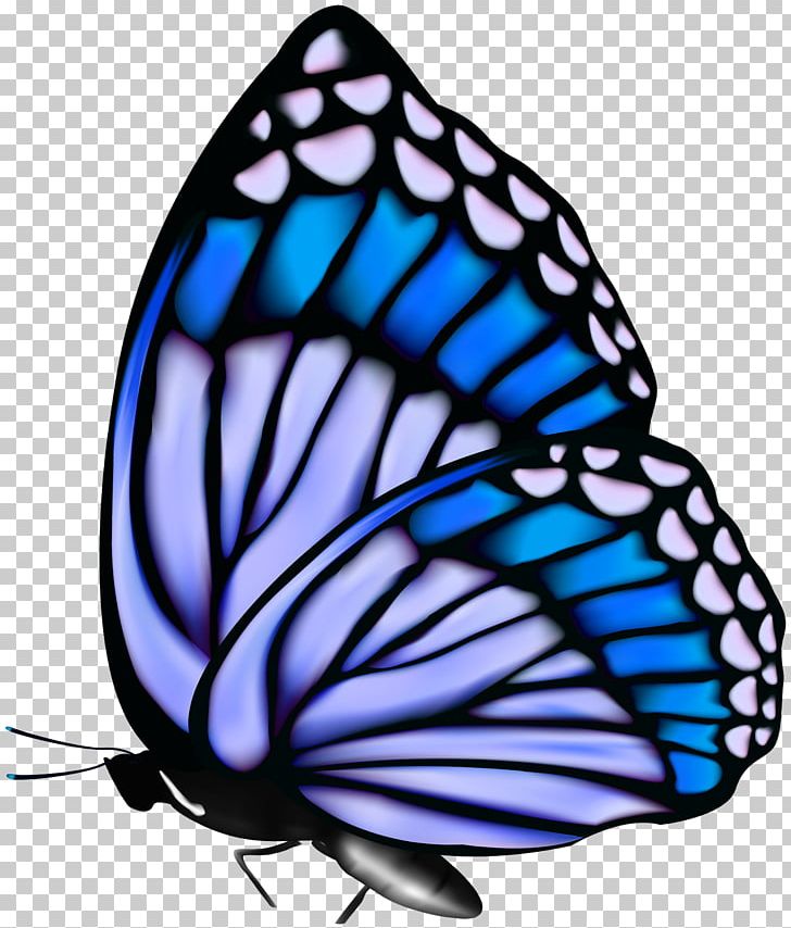 Monarch Butterfly PNG, Clipart, Brush Footed Butterfly, Butterflie, Butterfly, Computer Icons, Display Resolution Free PNG Download