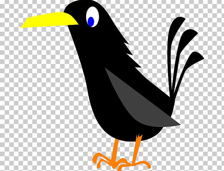 American Crow Common Raven PNG, Clipart, Acridotheres, American Crow, Artwork, Beak, Bird Free PNG Download
