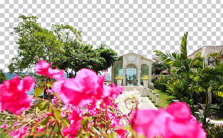 Bali Wedding Photography PNG, Clipart, Annual Plant, Attractions, Blue, Blue Point, Famous Free PNG Download