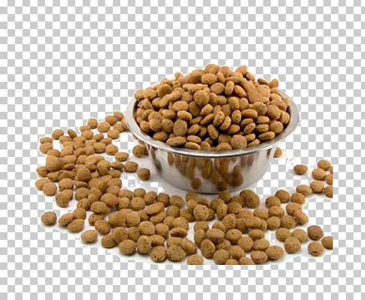 Cat Food Bulldog Morkie Puppy PNG, Clipart, Animals, Animal Shelter, Bean, Bulldog, Cat Free PNG Download