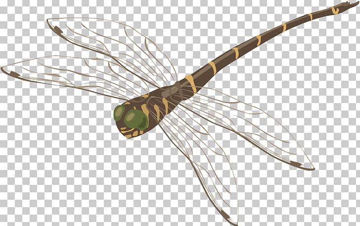 Dragonfly PNG, Clipart, Dragonfly Free PNG Download