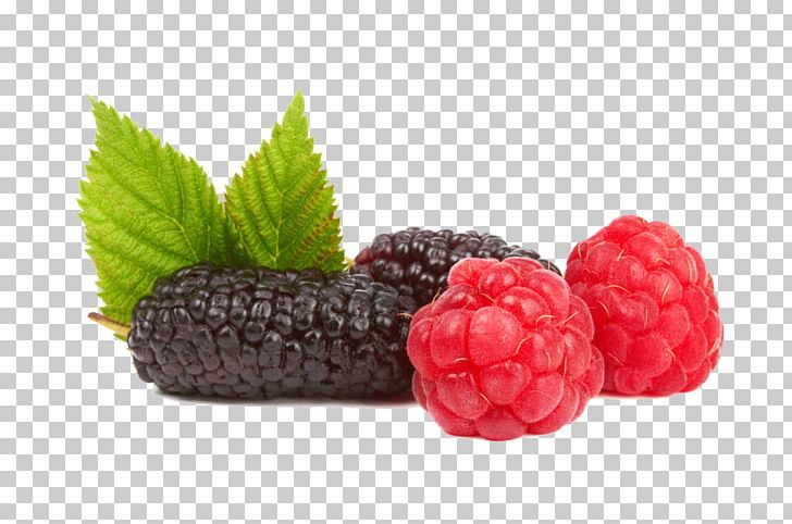 Raspberry Boysenberry Frutti Di Bosco Strawberry Tayberry PNG, Clipart, Berry, Black, Blackberry, Breakfast, Bright Free PNG Download