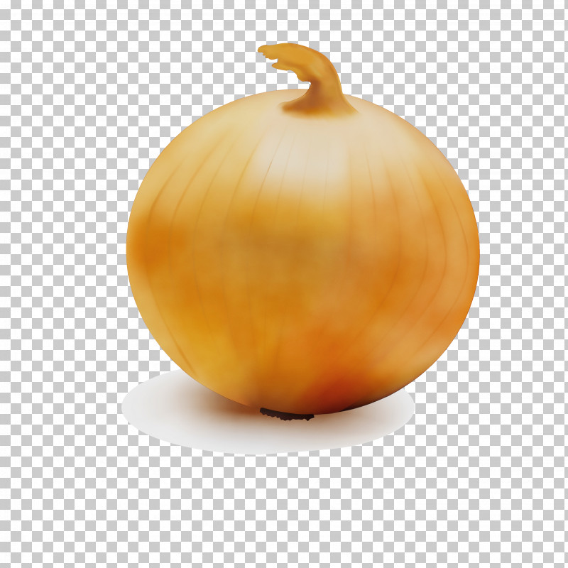 Pumpkin PNG, Clipart, Calabaza, Onion, Paint, Pumpkin, Squash Free PNG Download