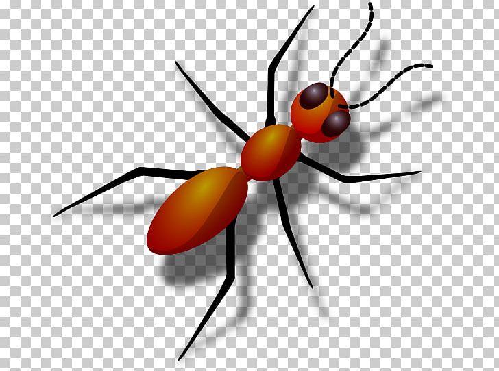 Ant PNG, Clipart, Ant, Ant Colony, Ants Cliparts, Arthropod, Black Garden Ant Free PNG Download
