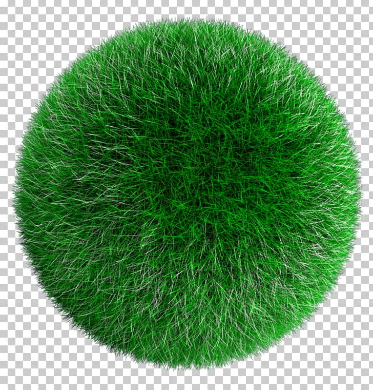 Ball Lawn Sphere PNG, Clipart, Ball, Football, Football Pitch, Grass, Grass Family Free PNG Download