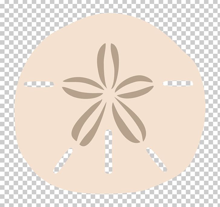 Sand Dollar Drawing PNG, Clipart, Beige, Circle, Drawing, Info, Miscellaneous Free PNG Download