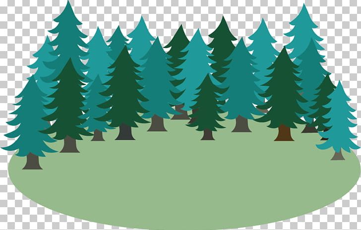 Spruce Fir Christmas Tree Christmas Ornament Pine PNG, Clipart, Christmas, Christmas Decoration, Christmas Ornament, Christmas Tree, Conifer Free PNG Download