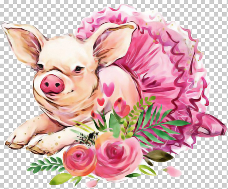 Pink Suidae Snout Chihuahua Livestock PNG, Clipart, Chihuahua, Livestock, Pink, Snout, Suidae Free PNG Download