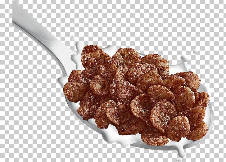 Breakfast Cereal Golden Crisp Malt-O-Meal Fruity Dyno-Bites Cereal Corn Flakes Post Holdings Inc PNG, Clipart, Animal Source Foods, Breakfast Cereal, Cereal, Chocolate, Cocoa Free PNG Download