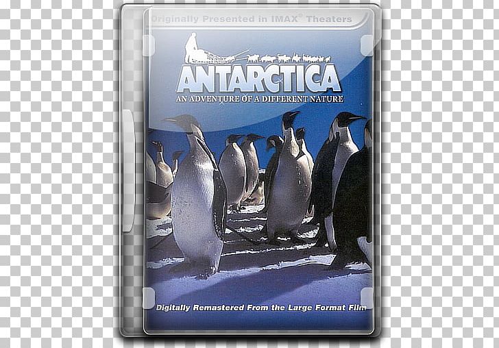Penguin Antarctica Adventure Film PNG, Clipart, Adventure Film, Advertising, Animals, Antarctic, Antarctica Free PNG Download