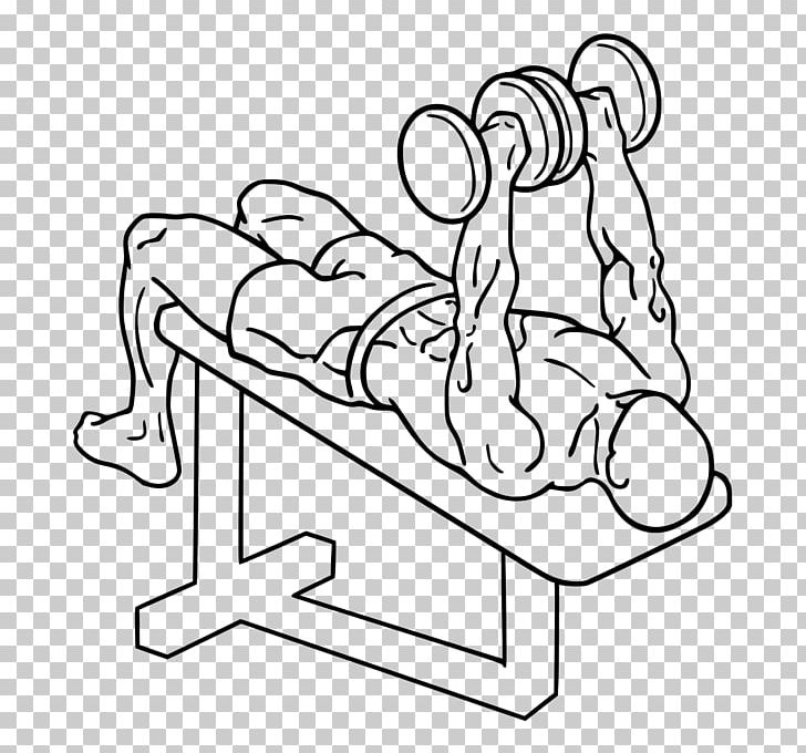 Bench Press Physical Exercise Dumbbell Overhead Press PNG, Clipart, Angle, Arm, Art, Barbell, Bench Free PNG Download