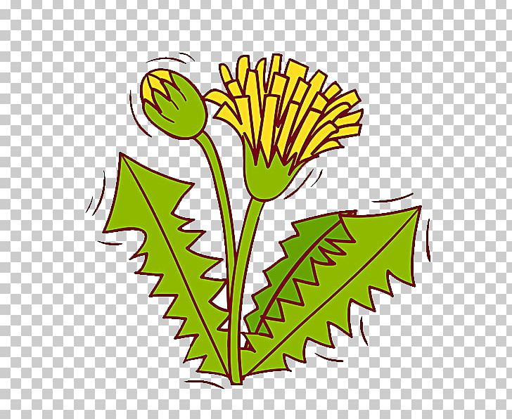 Dandelion Flower Pissenlit PNG, Clipart, Artwork, Dandelion, Dandelion Flower, Download, Euclidean Vector Free PNG Download