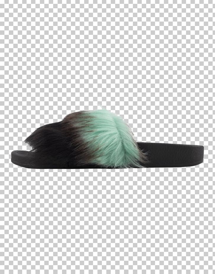 Fur Turquoise PNG, Clipart, Fur, Mint Color, Others, Shoe, Turquoise Free PNG Download