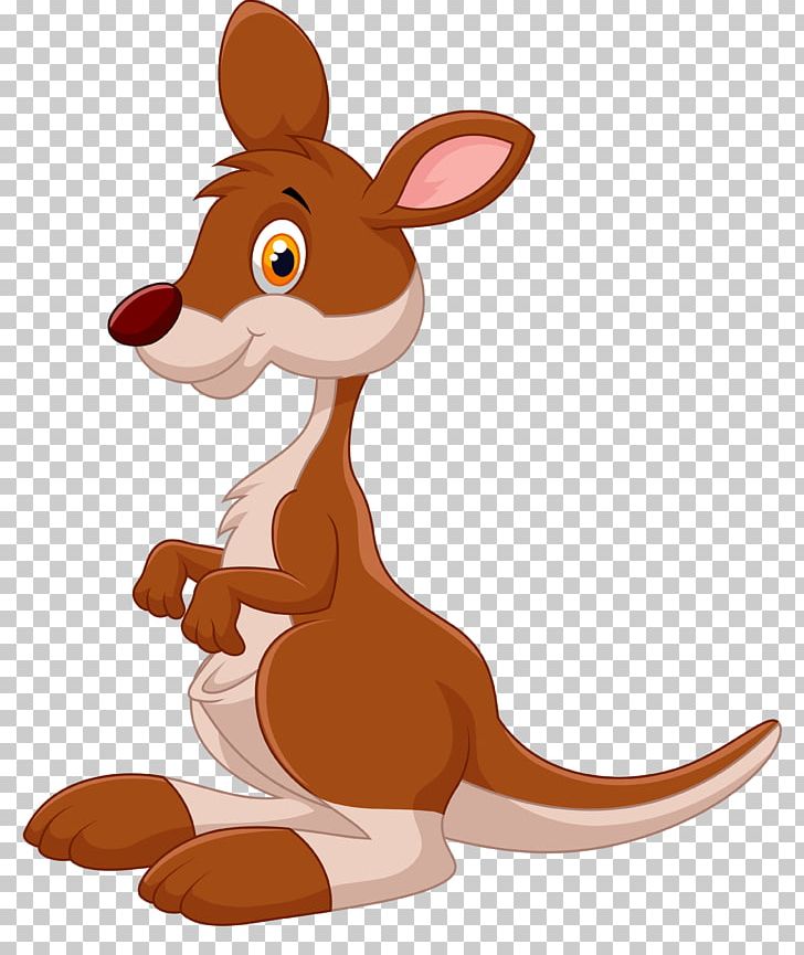 australian kangaroo drawing