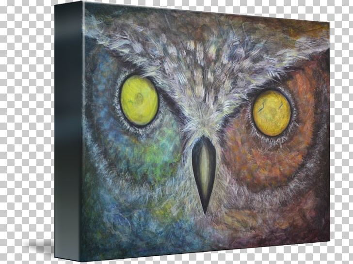Owl Fauna PNG, Clipart, Beak, Bird, Bird Of Prey, Fauna, Owl Free PNG Download