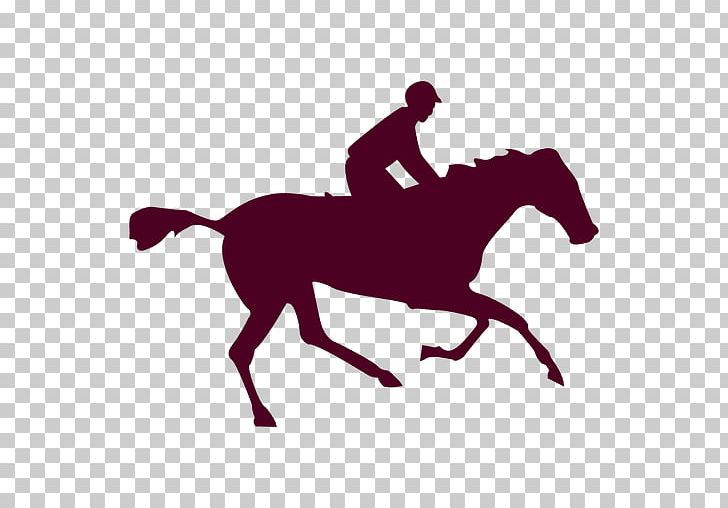 The Horse In Motion Animation Photography Photographer PNG, Clipart, Animals, Animation, Bridle, Film, Horse Free PNG Download