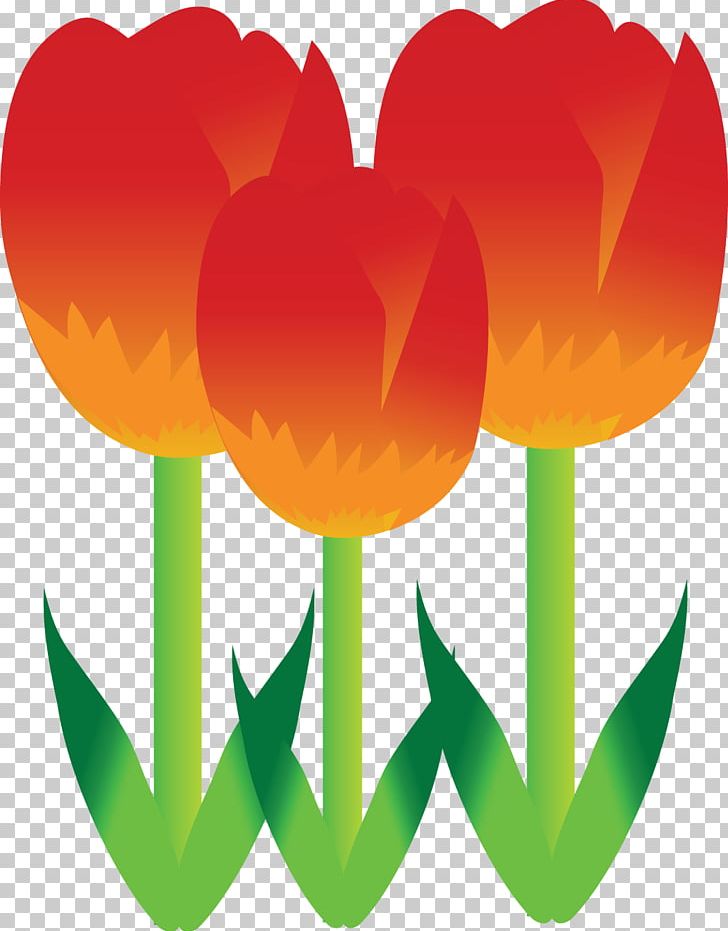 Tulip Flower PNG, Clipart, Art, Colorful, Computer Wallpaper, Flower, Flowering Plant Free PNG Download