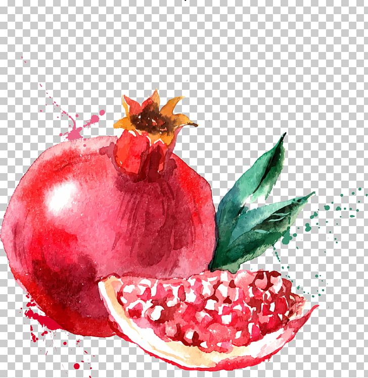 Watercolor Painting Drawing Fruit Illustration PNG, Clipart, Cartoon, Chicken, Color, Dining, Dots Free PNG Download