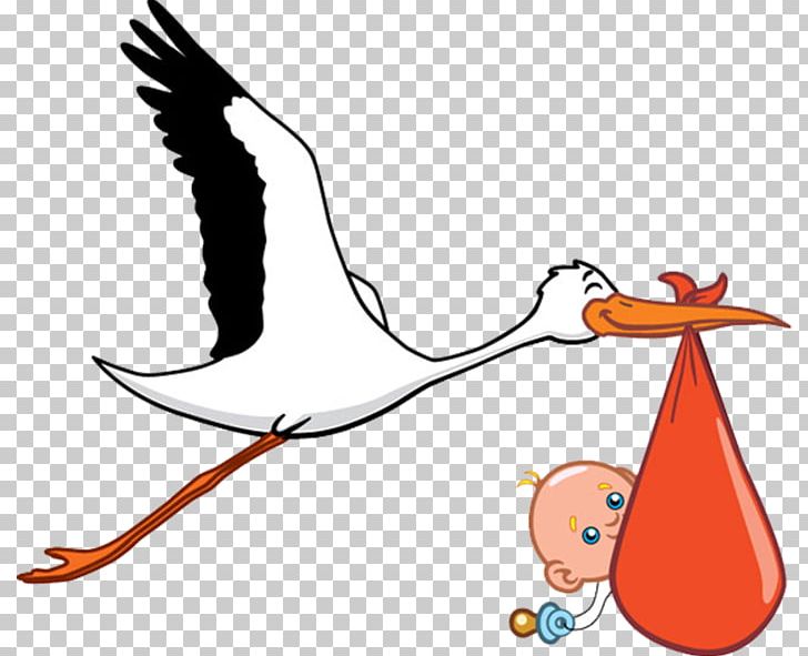 White Stork Infant Childbirth PNG, Clipart, Animal Figure, Animals, Area, Artwork, Baby Shower Free PNG Download
