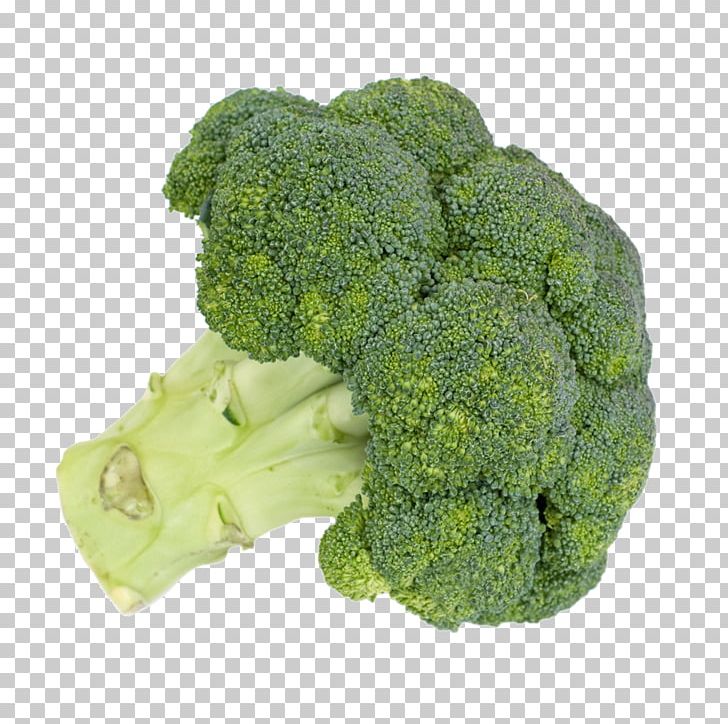 Broccoli Cauliflower Vegetable Food Fruit PNG, Clipart, Broccoli, Broccoli 0 0 3, Broccoli Art, Broccoli Dog, Broccoli Sketch Free PNG Download