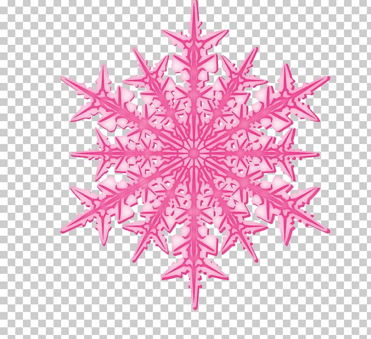 Christmas Ornament Snowflake Symmetry Pink M Pattern PNG, Clipart, Christmas, Christmas Ornament, Magenta, Nature, Pink Free PNG Download