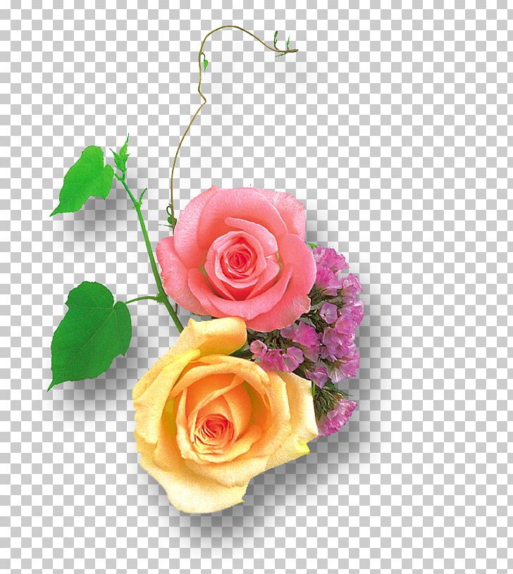 Garden Roses Centifolia Roses Cut Flowers PNG, Clipart, Artificial Flower, Centifolia Roses, Cut Flowers, Floral Design, Floristry Free PNG Download