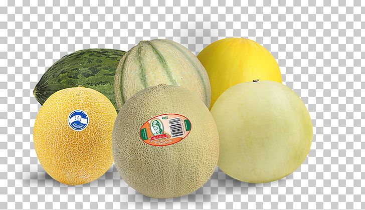 Honeydew Cantaloupe Watermelon Fruit PNG, Clipart, Berry, Cantaloupe, Citrus, Cucumber Gourd And Melon Family, Cucumis Free PNG Download