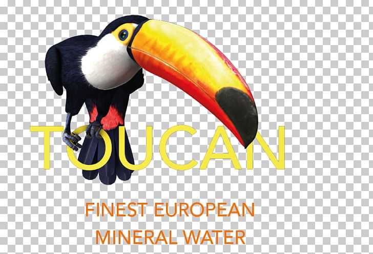 Toucan Mineral Water Beak Austria PNG, Clipart, Advertising, Austria, Beak, Bird, Europe Free PNG Download