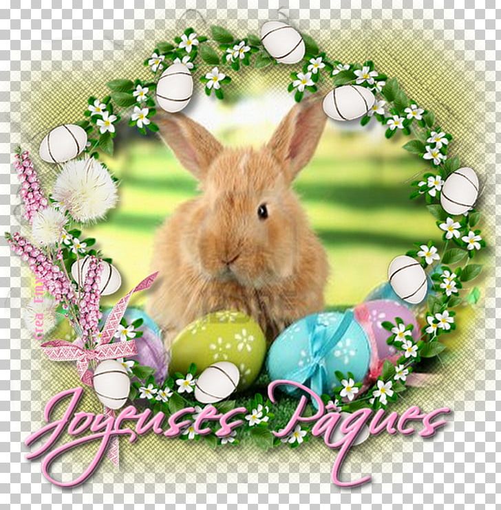Easter Bunny Domestic Rabbit Party Passover PNG, Clipart, Domestic Rabbit, Easter, Easter Bunny, Emoticon, Fete Free PNG Download