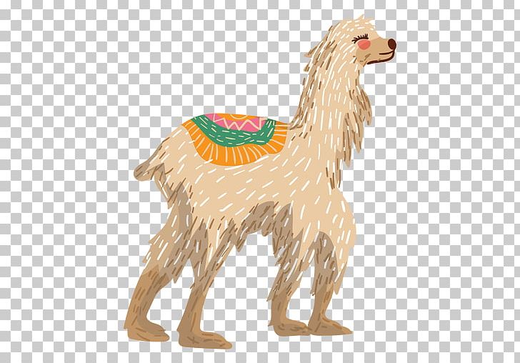Llama Alpaca Camel Guanaco Illustration PNG, Clipart, Alpaca, Animal, Animal Figure, Camel, Camelids Free PNG Download