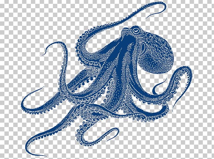 Octopus Drawing Art PNG, Clipart, Art, Blueringed Octopus, Cephalopod, Coleoids, Common Octopus Free PNG Download