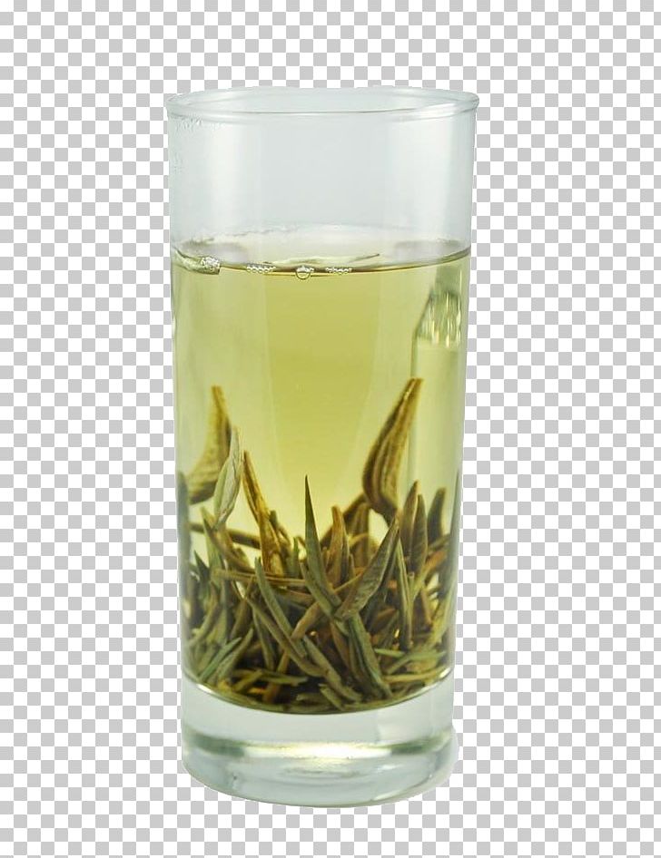 White Tea Baihao Yinzhen Fuding Pu'er City PNG, Clipart,  Free PNG Download