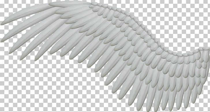 Angel Wing Feather PNG, Clipart, Angel Wing, Angle, Black And White, Clip Art, Computer Font Free PNG Download