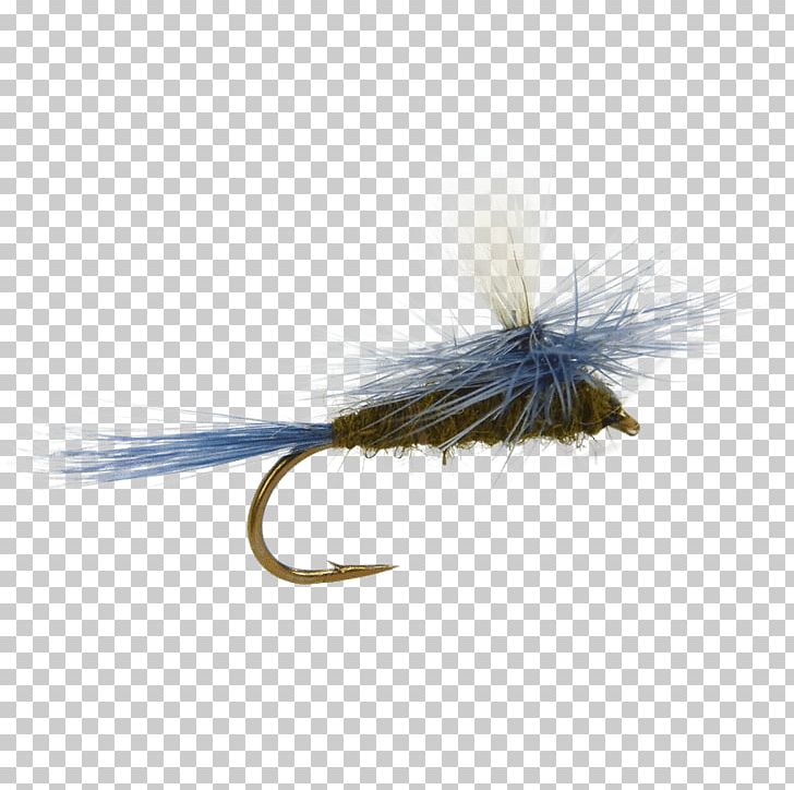 Fly Fishing Artificial Fly Fly Tying Blue-winged Olive PNG, Clipart, Angling, Artificial Fly, Bluewinged Olive, Fish Hook, Fishing Free PNG Download
