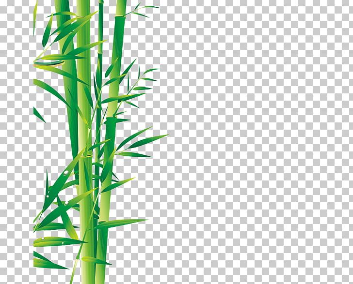 Zongzi Dragon Boat Festival U7aefu5348 Traditional Chinese Holidays PNG, Clipart, 5u67085u65e5, Angle, Background Green, Bamboo, Bamboo Leaves Free PNG Download