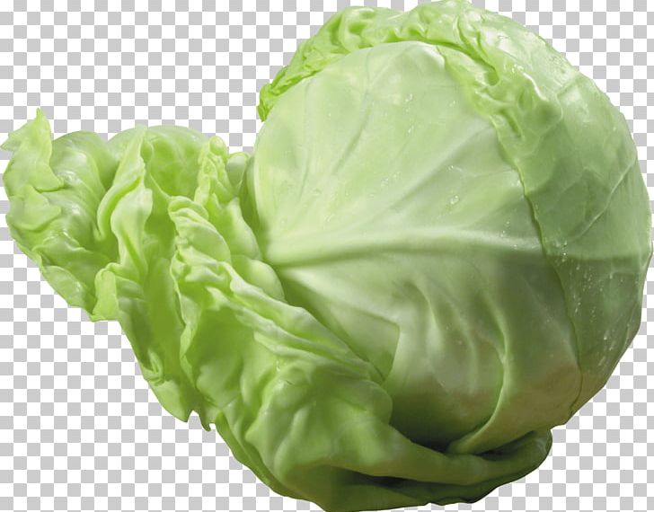Cabbage Roll Vegetarian Cuisine Stuffing Red Cabbage PNG, Clipart, Beachbody, Brassica Oleracea, Broccoli, Cabbage, Cauliflower Free PNG Download