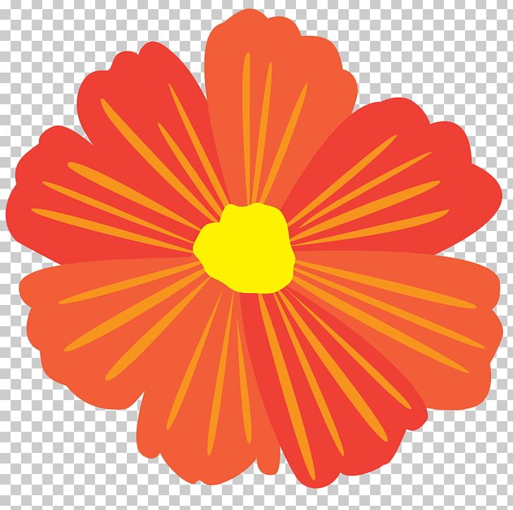 Transvaal Daisy Chrysanthemum Cut Flowers Line Sunflower M PNG, Clipart, Chrysanthemum, Chrysanths, Circle, Cut Flowers, Daisy Family Free PNG Download