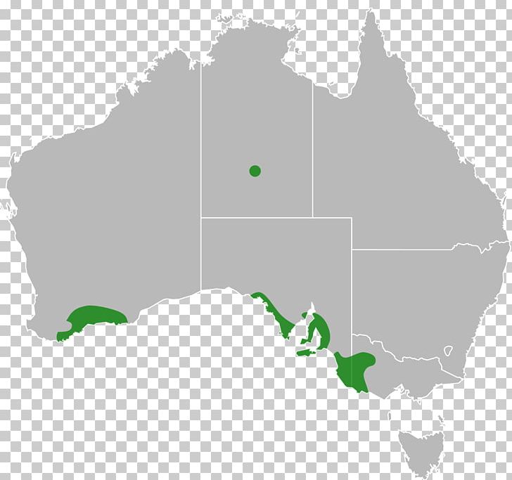 Australia Map Stock Photography PNG, Clipart, Australia, Depositphotos, Distro, Geography, Green Free PNG Download