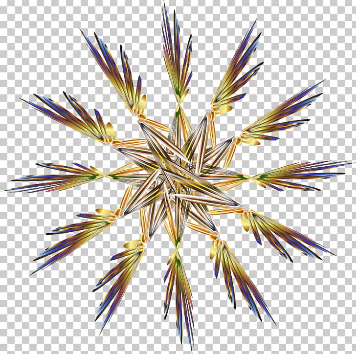 Symmetry Grass Plant Stem PNG, Clipart, Agriculture, Art, Chromatic, Commodity, Computer Icons Free PNG Download