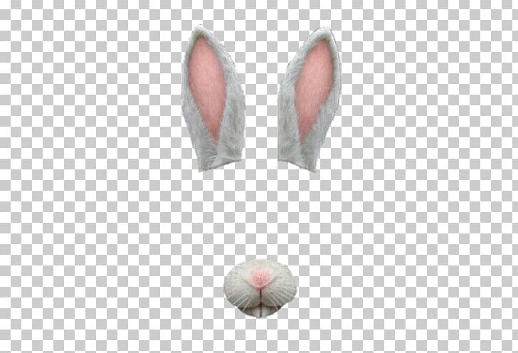 Easter Bunny Rabbit Sticker PNG, Clipart, Animals, Art, Dog, Drawing, Easter Bunny Free PNG Download