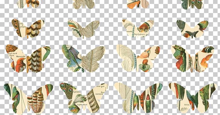 Moth Insect Wing Animal Font PNG, Clipart, Animal, Animal Figure, Animals, Arthropod, Butterfly Free PNG Download