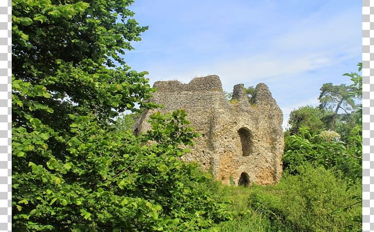 Ruins Middle Ages Nature Reserve Historic Site Medieval Architecture PNG, Clipart, Archaeological Site, Architecture, Building, Castle, Fortification Free PNG Download