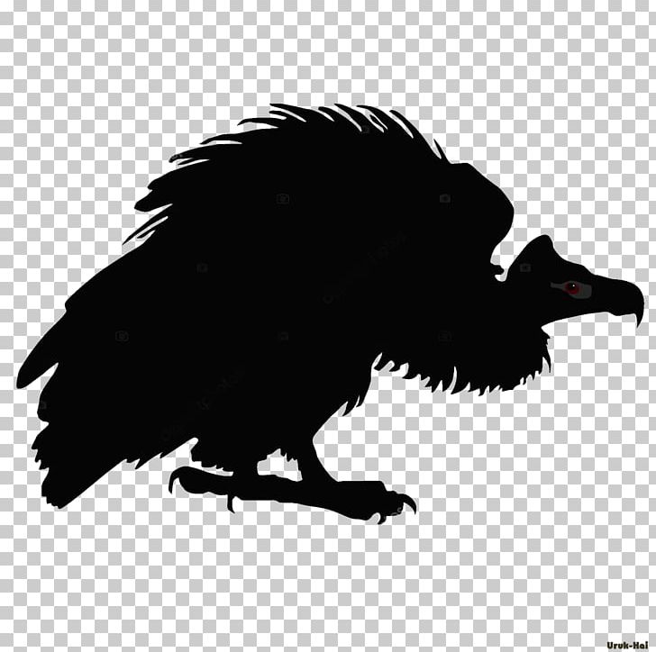 Turkey Vulture Drawing Line Art PNG, Clipart, American Crow, Animals, Beak, Bird, Bird Of Prey Free PNG Download