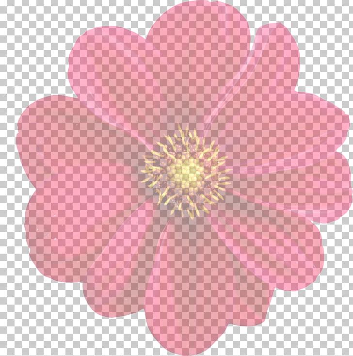 Dahlia Flower Plant PNG, Clipart, Bing, Blossom, Dahlia, Daisy Family, Flower Free PNG Download